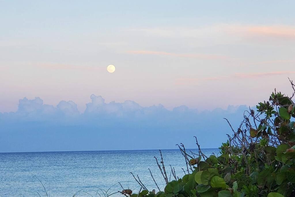 Oceanfront Elegance - Luxurious 6Br Beach House With Hot Tub & Spacious Balcony And Breathtaking Views! Villa Melbourne Beach Kültér fotó